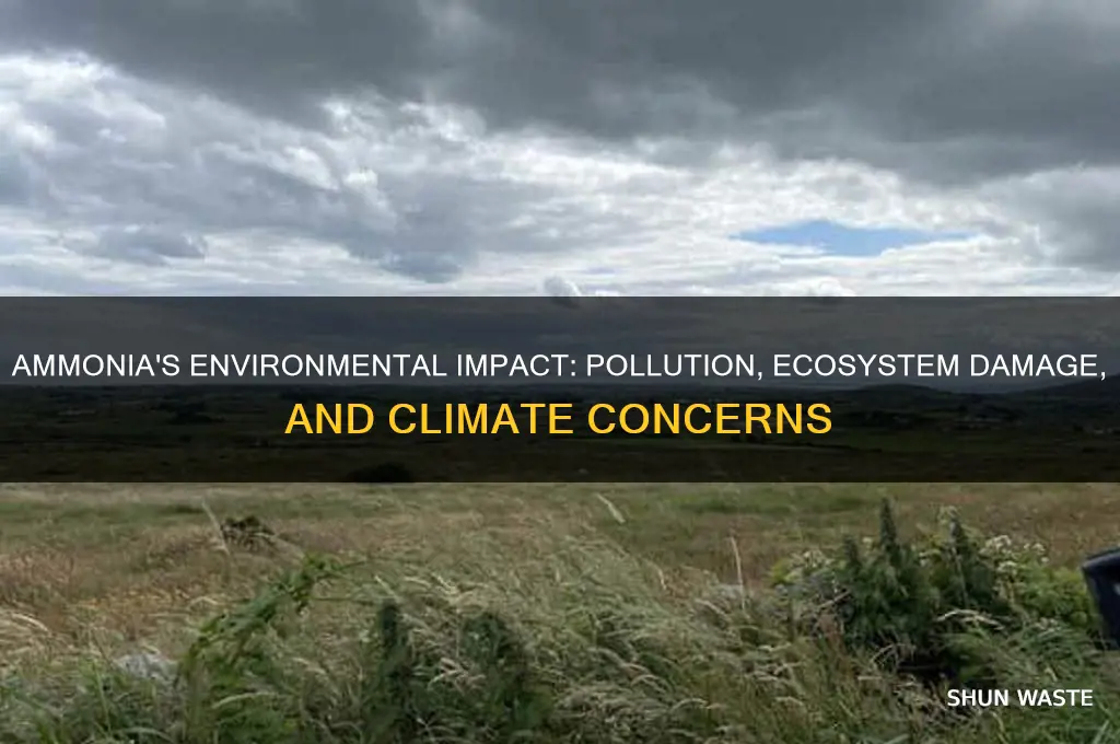 how is ammonia bad for the environment