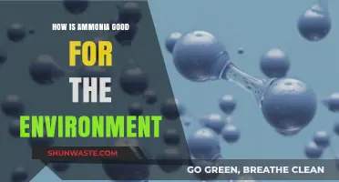 Ammonia's Eco-Friendly Role: Benefits for a Sustainable Environment