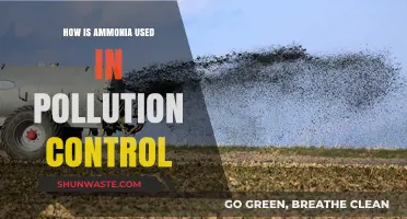 Ammonia's Role in Pollution Control Explained