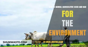 Animal Agriculture's Environmental Impact: Balancing Benefits and Harmful Consequences