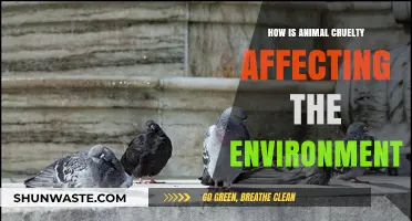 Animal Cruelty's Hidden Impact: Environmental Consequences and Ecosystem Disruption