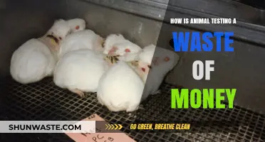 Animal Testing: A Costly, Ineffective, and Unnecessary Waste of Resources