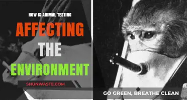 Animal Testing's Environmental Impact: Uncovering the Hidden Ecological Consequences