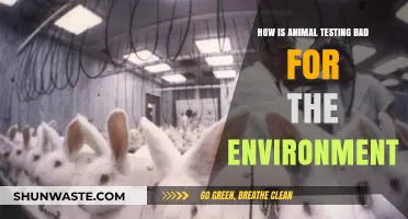 Animal Testing's Environmental Impact: Harmful Practices and Sustainable Alternatives