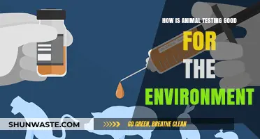 Animal Testing's Eco-Impact: Unveiling Environmental Benefits and Sustainability