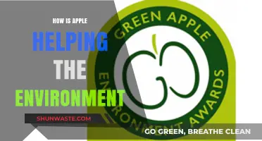Apple's Green Revolution: Sustainable Innovations for a Healthier Planet