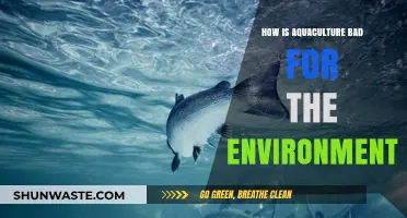 Aquaculture's Dark Side: Environmental Impacts and Unsustainable Practices