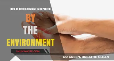 Environmental Factors and Their Influence on Arthritis Progression and Symptoms