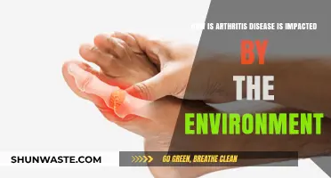 Environmental Factors: How Surroundings Influence Arthritis Symptoms and Progression