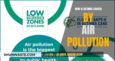 Air Pollution's Role in Asthma Development