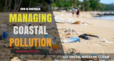 Australia's Coastal Pollution: Strategies and Solutions