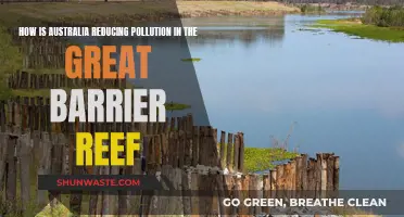 Australia's Efforts to Save the Great Barrier Reef