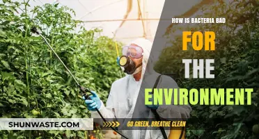 Bacterial Impact: Harmful Effects on Ecosystems and Environmental Health