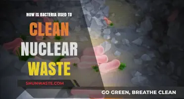 Bacteria's Role in Safely Cleaning Up Nuclear Waste