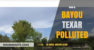 Texar Bayou's Troubled Waters: Pollution's Impact
