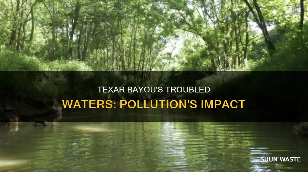 how is bayou texar polluted