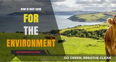 Beef's Surprising Eco-Benefits: Sustainable Grazing for a Greener Planet
