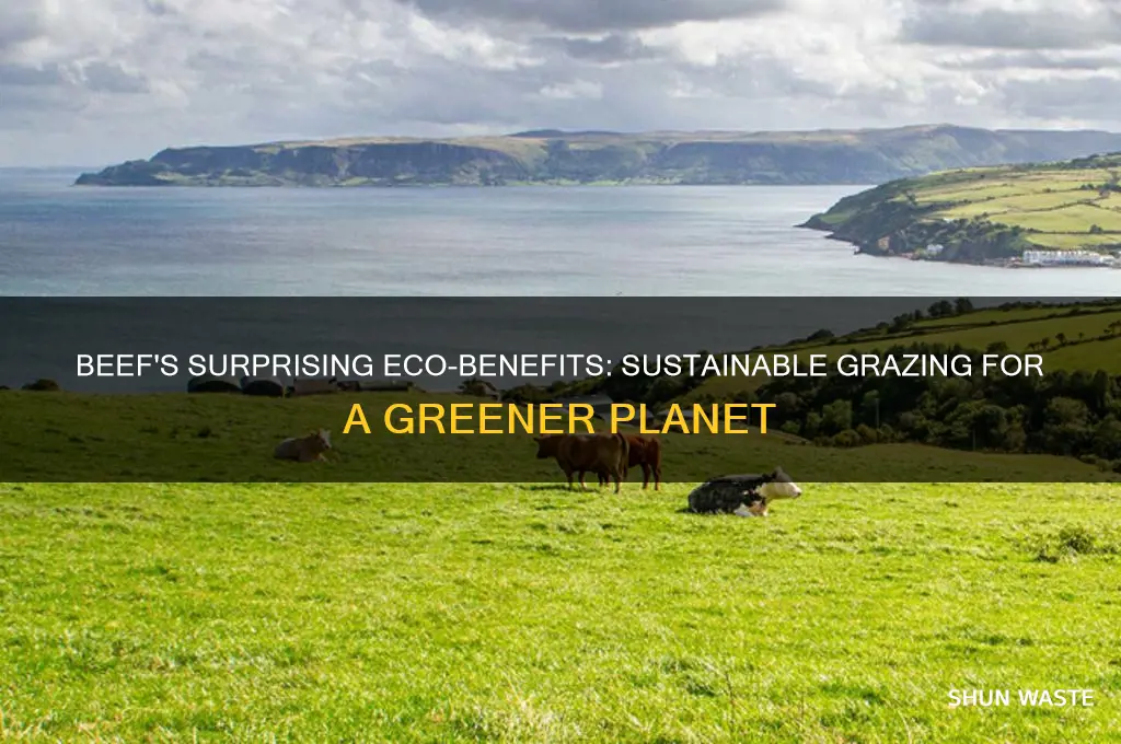 how is beef good for the environment
