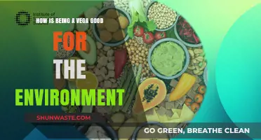 Eco-Friendly Eating: How a Vegan Diet Benefits Our Planet