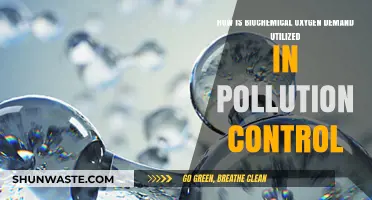Biochemical Oxygen Demand: Pollution Control's Key Metric