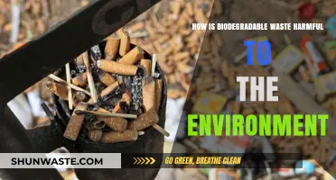 Biodegradable Waste's Hidden Environmental Impact: Uncovering the Harmful Truth