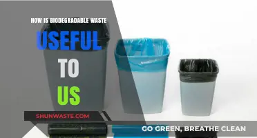 Harnessing Biodegradable Waste: Eco-Friendly Benefits and Practical Uses for Us