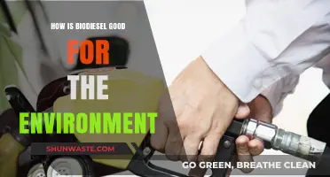 Biodiesel's Eco-Friendly Impact: Cleaner Air, Renewable Energy, and Sustainability