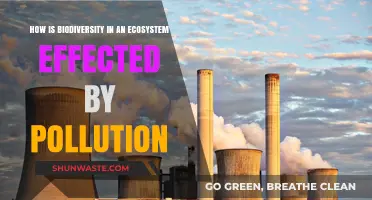 Pollution's Impact: Ecosystem Biodiversity at Risk