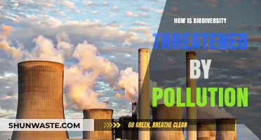 The Toxic Threat to Biodiversity