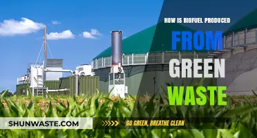 Transforming Green Waste into Biofuel: Sustainable Production Process Explained