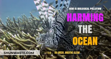 The Ocean's Biological Pollution Crisis