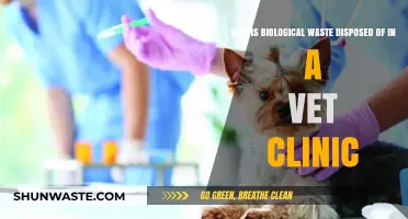 Safe Biological Waste Disposal Practices in Veterinary Clinics Explained