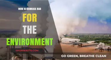 Biomass Energy's Hidden Costs: Environmental Impacts and Sustainability Concerns