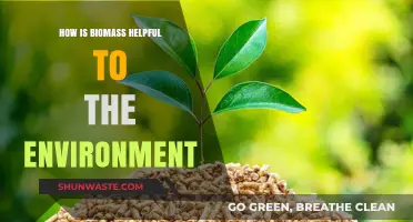 Biomass Benefits: Sustainable Energy, Waste Reduction, and Environmental Impact