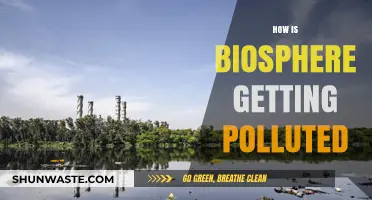 The Biosphere's Pollution Problem: A Human-Made Disaster