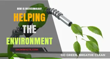 Biotechnology's Green Revolution: Sustainable Solutions for a Healthier Planet