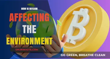 Bitcoin's Environmental Impact: Energy Consumption, Carbon Footprint, and Sustainability Challenges