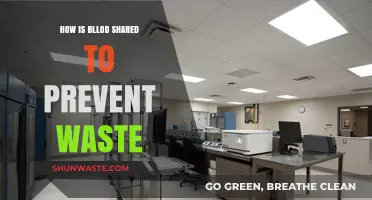 Efficient Blood Sharing Strategies to Minimize Waste and Save Lives