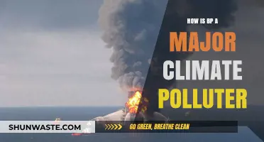 BP's Climate Crimes: A Major Polluter's Impact