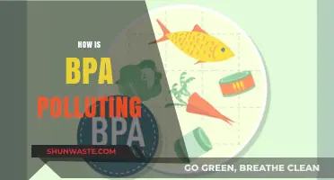 BPA's Toxic Legacy: A Pollution Crisis
