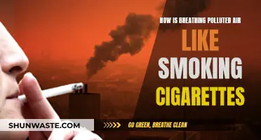 Breathing Polluted Air: A Silent Smoking Hazard