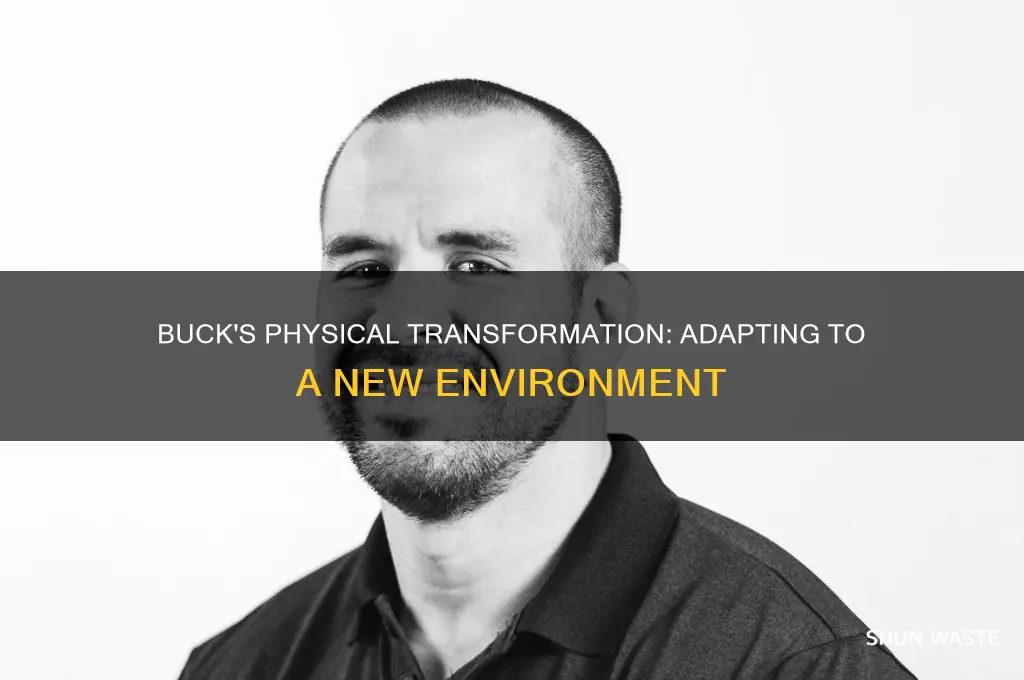 how is buck changing physically in this new environment
