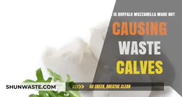 Sustainable Buffalo Mozzarella: Ethical Production Without Wasting Calves