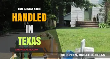 Texas Tackles Bulky Waste: Management, Recycling, and Disposal Strategies