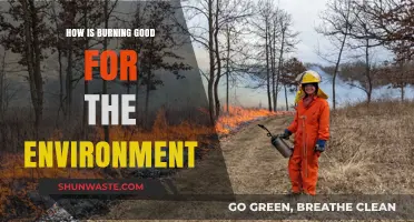 Eco-Friendly Flames: How Controlled Burns Benefit Our Planet's Health