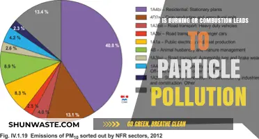Combustion and Particle Pollution: Burning's Dark Side