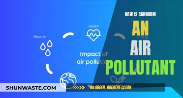 Cadmium's Toxic Legacy: Air Pollution and Health Risks