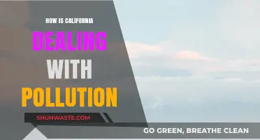 California's Anti-Pollution Strategies: What's Working?