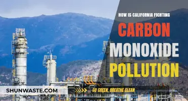 California's Fight Against Carbon Monoxide Pollution