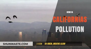California's Pollution: A Troubling Trend